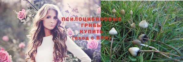 трава Кинешма