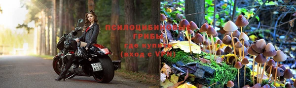 хмурый Козельск