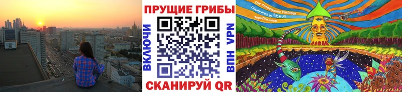 Галлюциногенные грибы Psilocybine cubensis  Купить где  Балтийск 